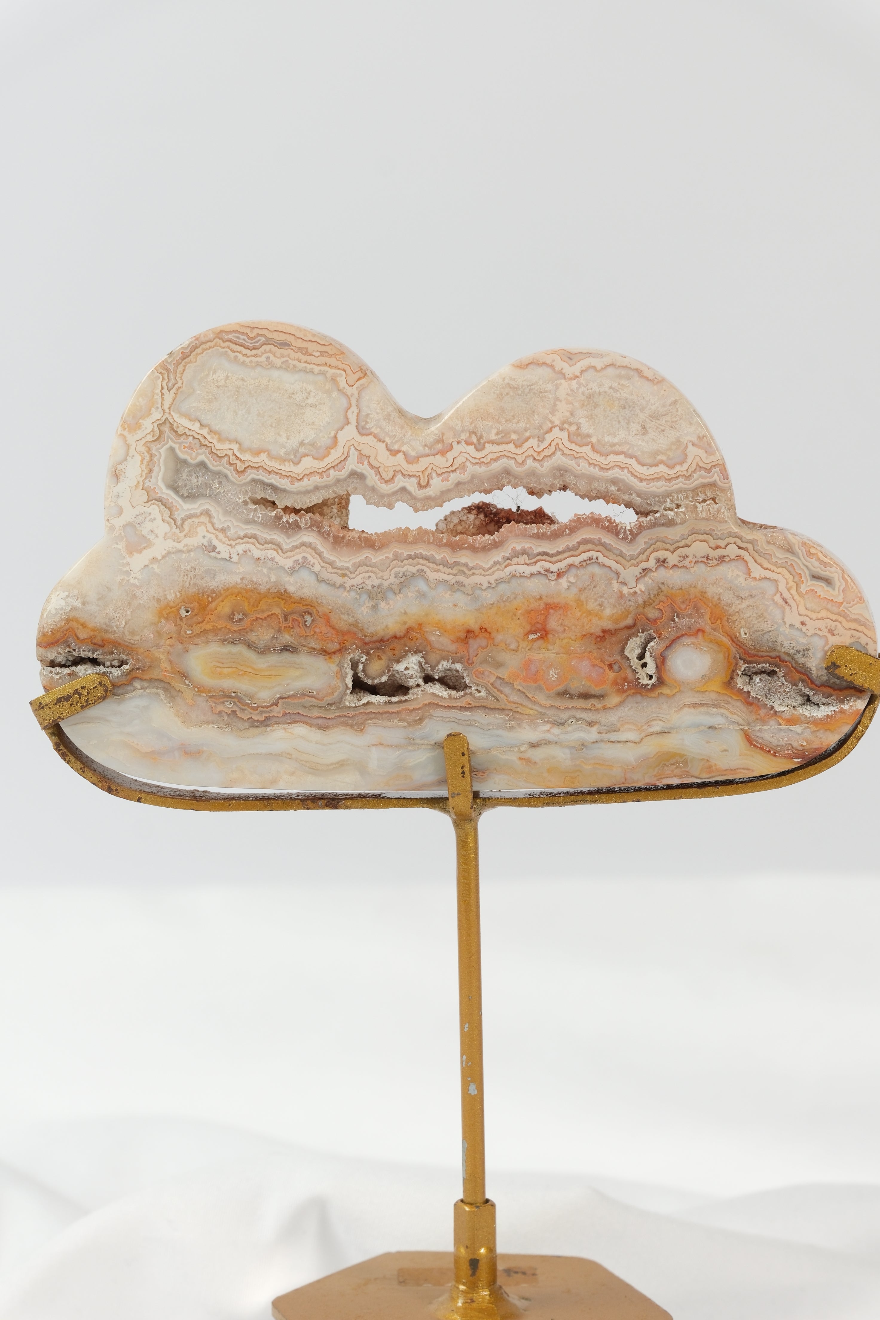 Pink Crazy Lace Cloud on Stand