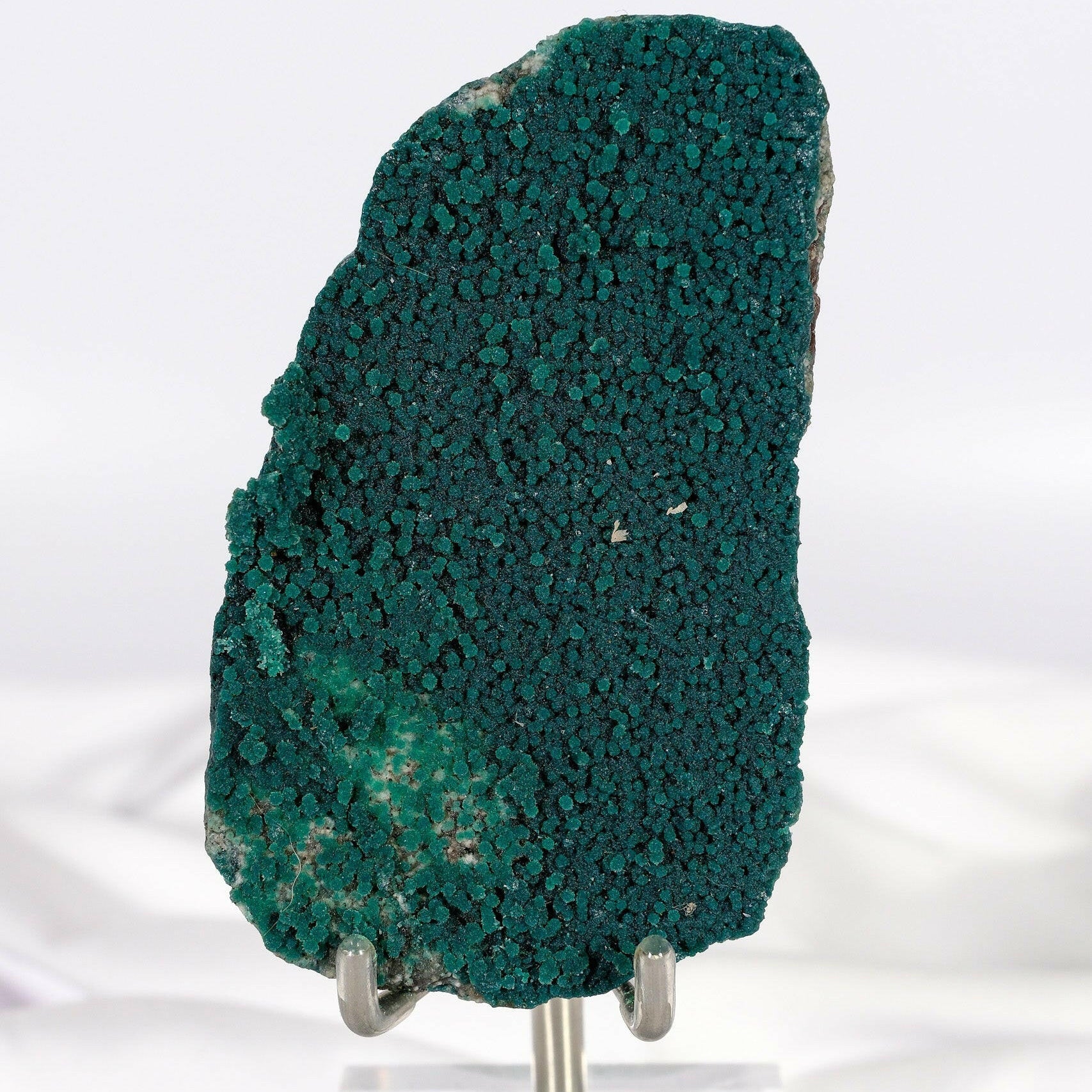 Botryoidal Green Chalcedony with Celadonite and Apophyllite Slice Healing Crystal.