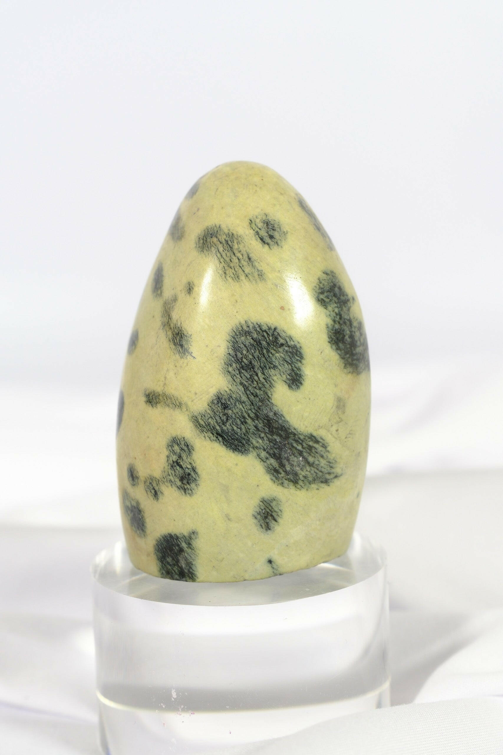 Leopard Stone Freeform Healing Crystal.