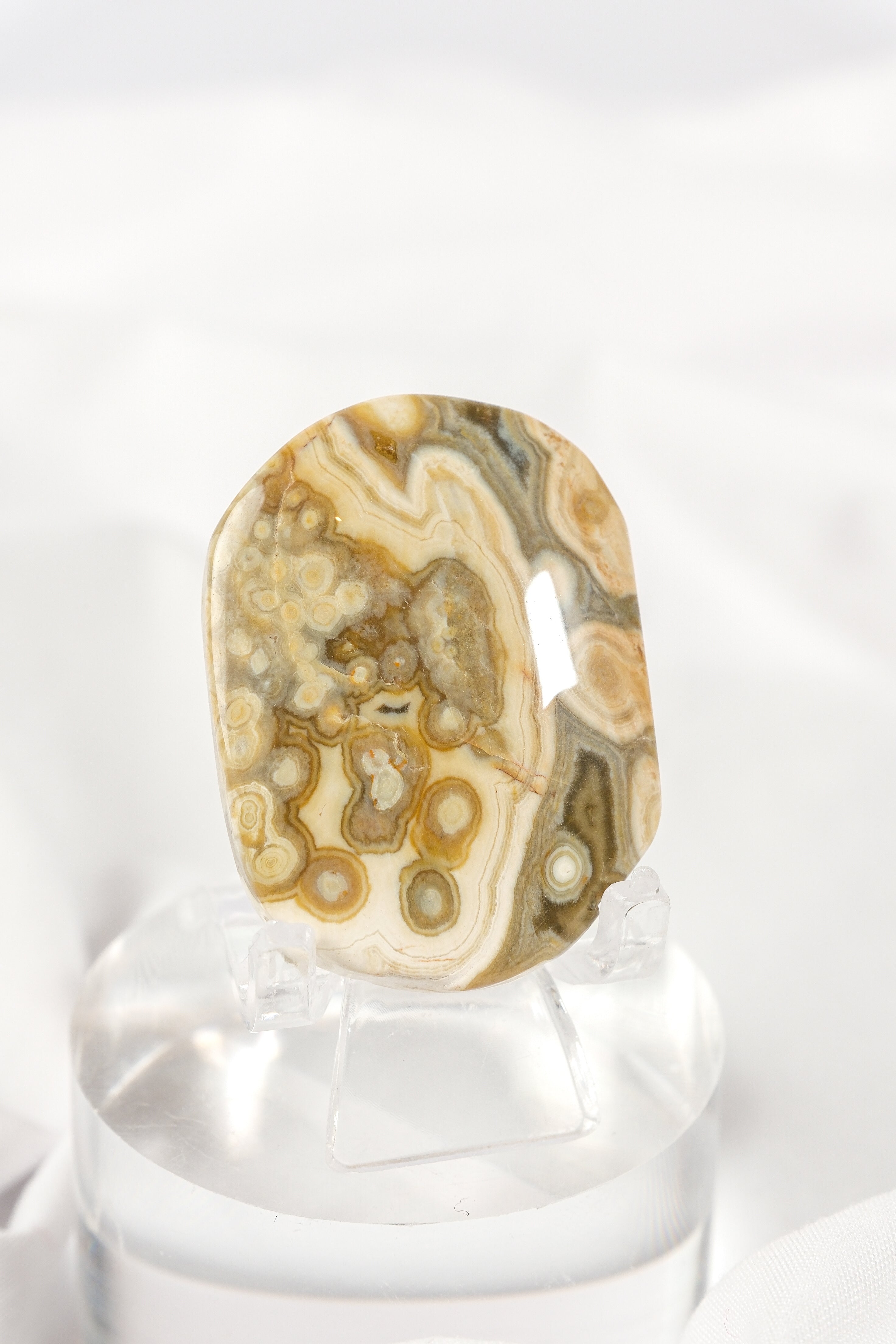 Orbicular Sea Jasper Palmstone
