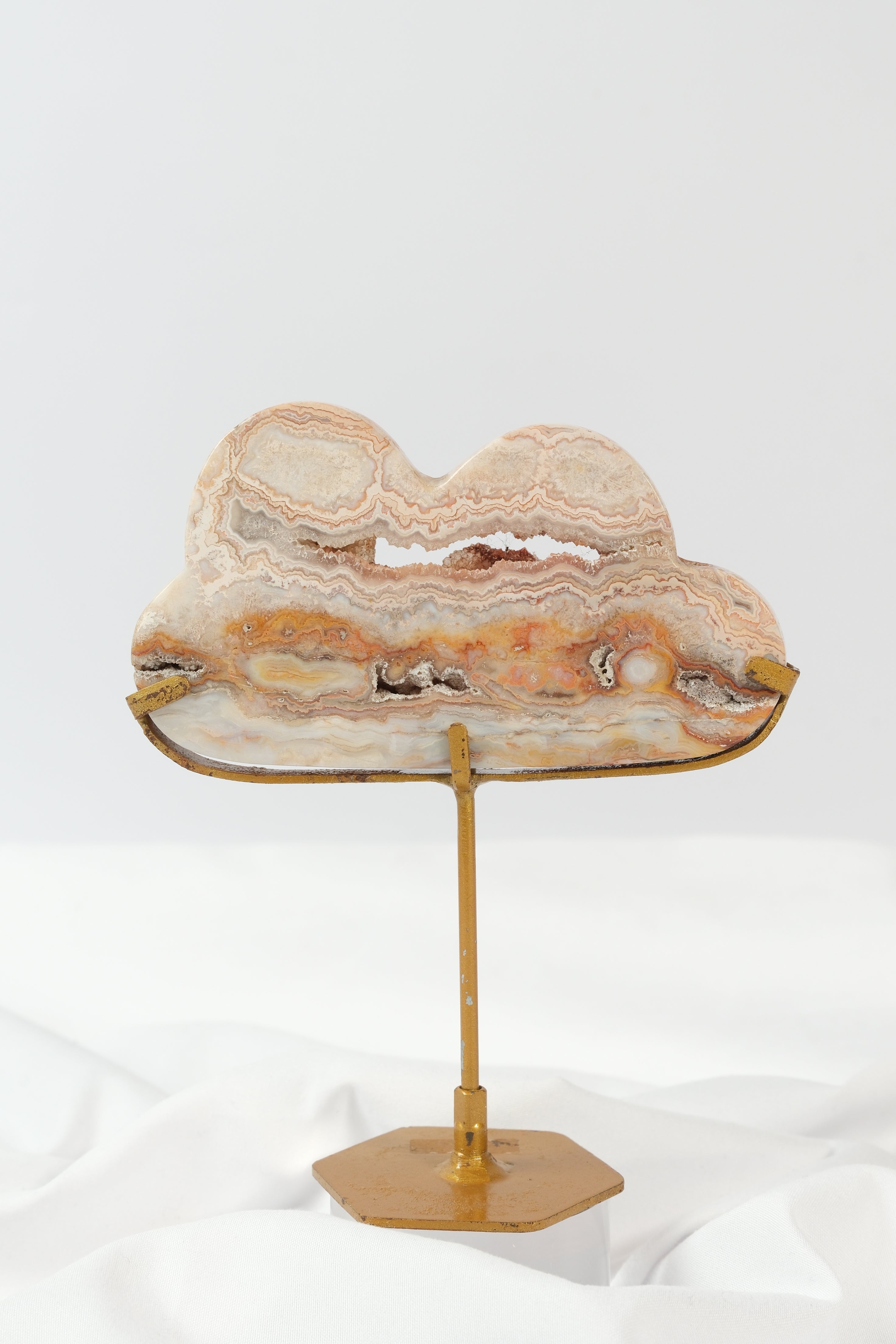 Pink Crazy Lace Cloud on Stand