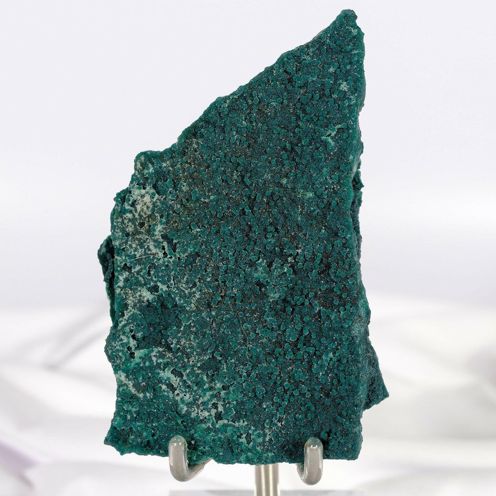 Botryoidal Green Chalcedony with Celadonite and Apophyllite Slice Healing Crystal.