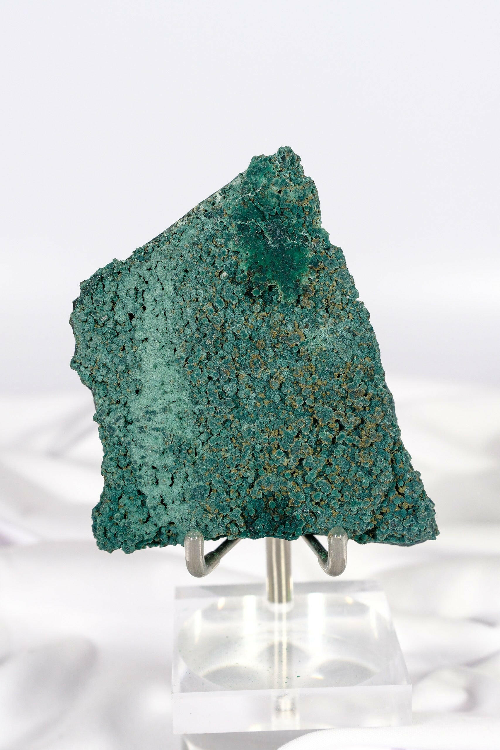 Botryoidal Green Chalcedony with Celadonite and Apophyllite Slice Healing Crystal.