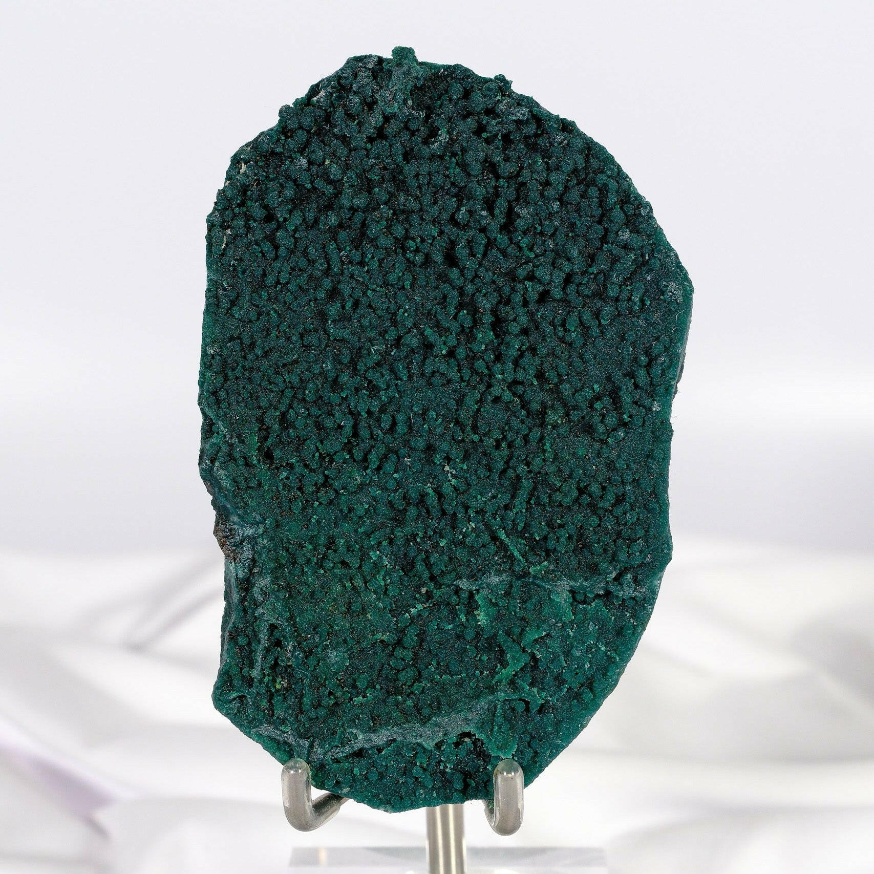 Botryoidal Green Chalcedony with Celadonite and Apophyllite Slice Healing Crystal.