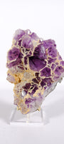 Amethyst Cluster on Stand