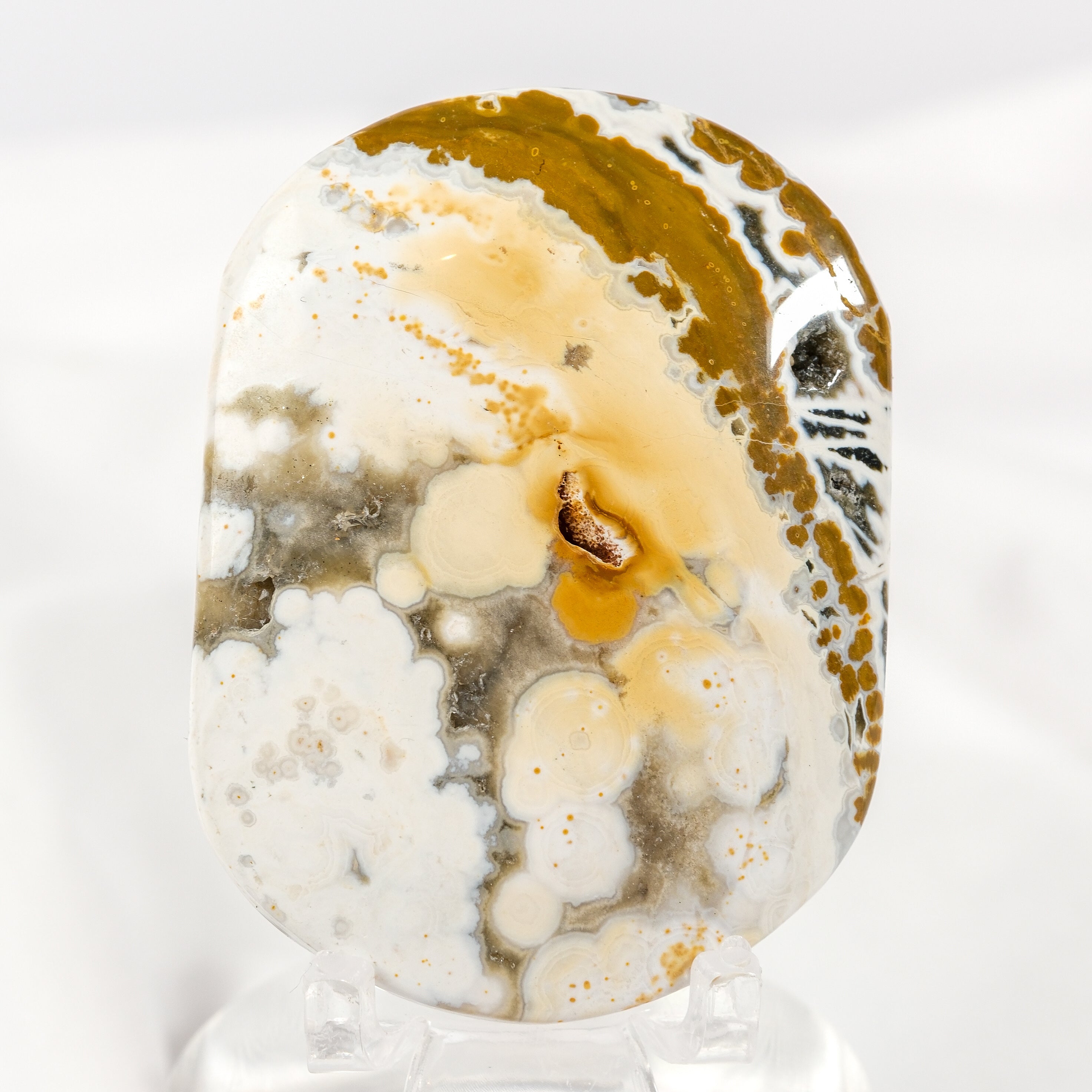 Orbicular Sea Jasper Palmstone
