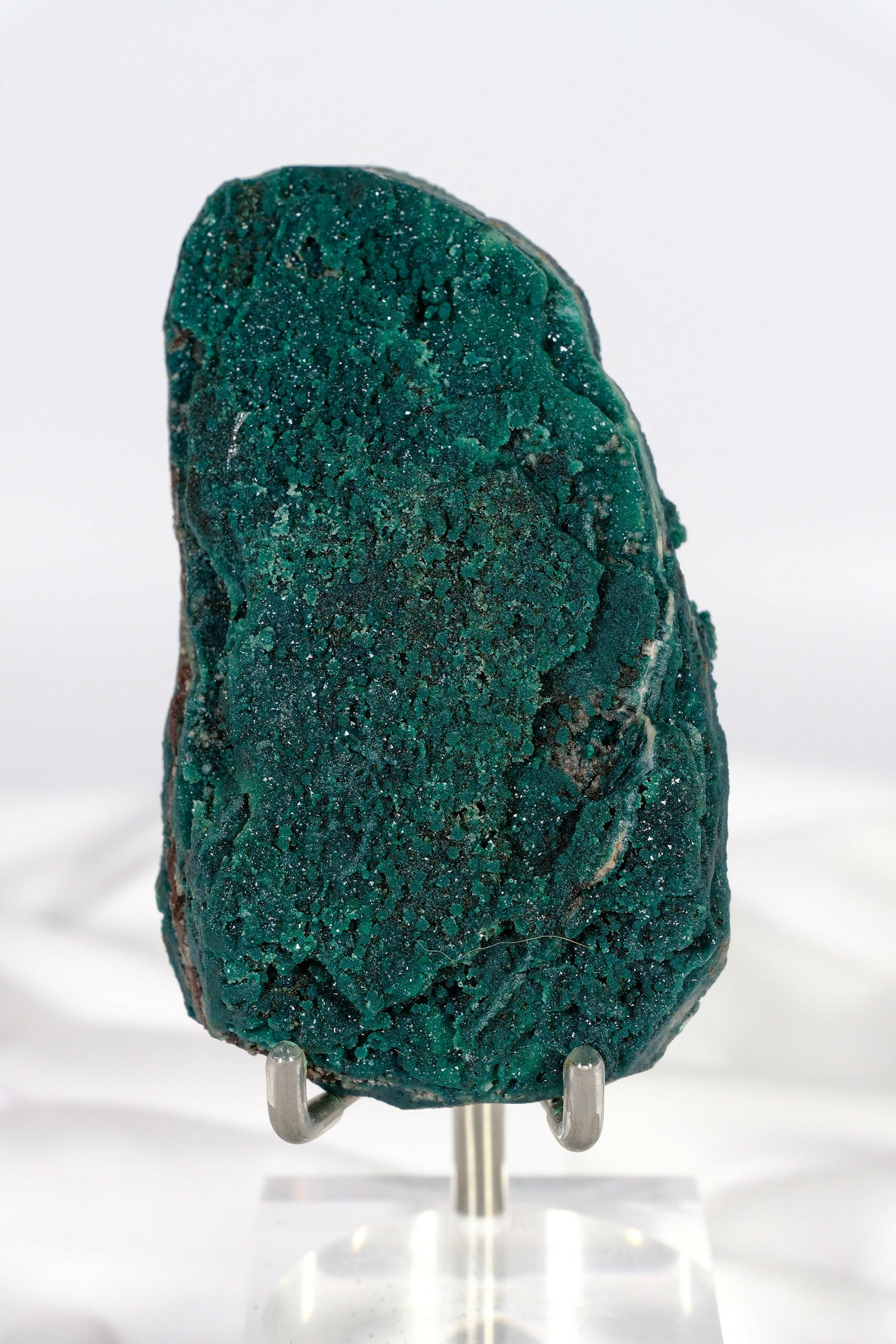 Botryoidal Green Chalcedony with Celadonite and Apophyllite Slice Healing Crystal.