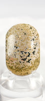 Orbicular Sea Jasper Palmstone