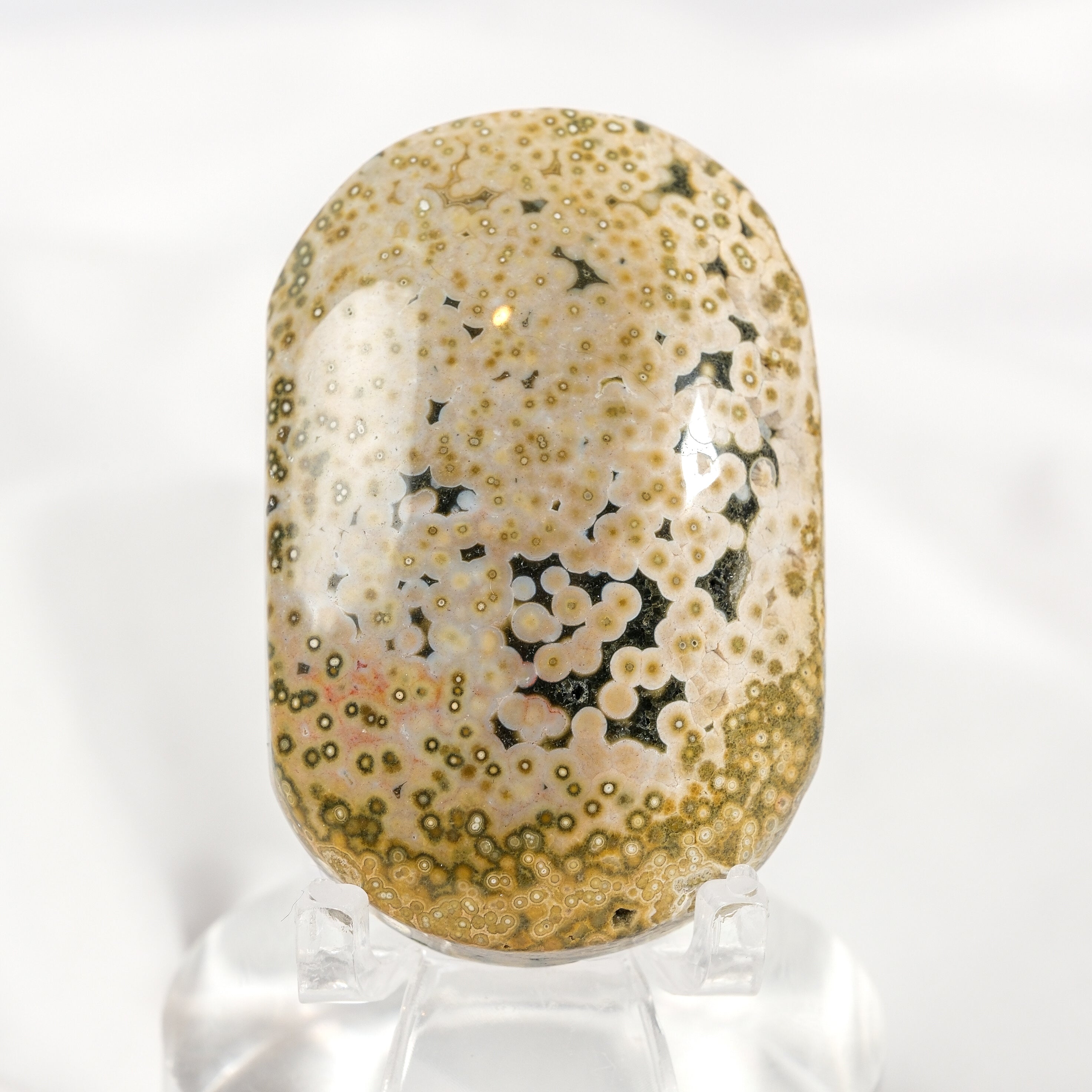 Orbicular Sea Jasper Palmstone