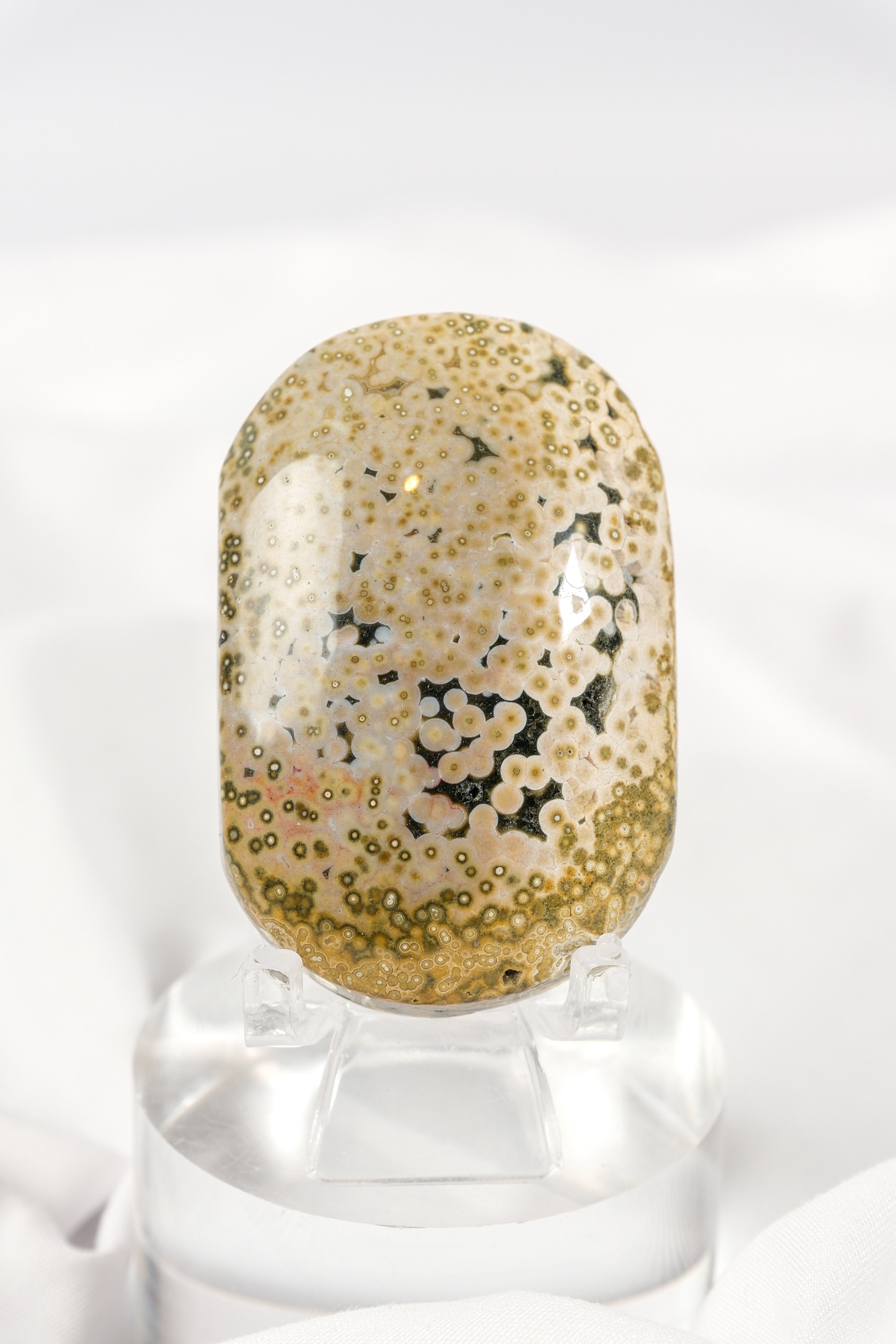 Orbicular Sea Jasper Palmstone