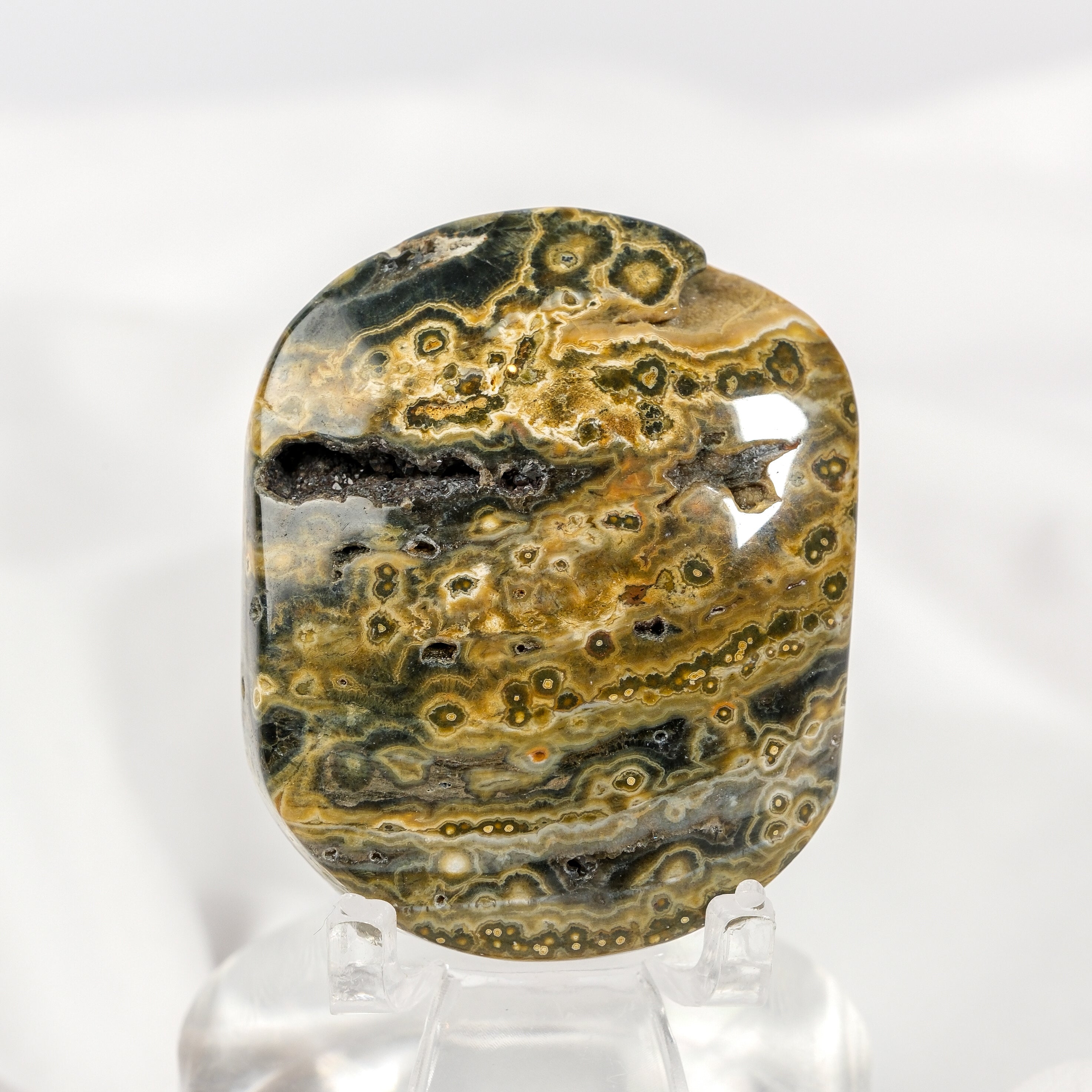 Orbicular Sea Jasper Palmstone