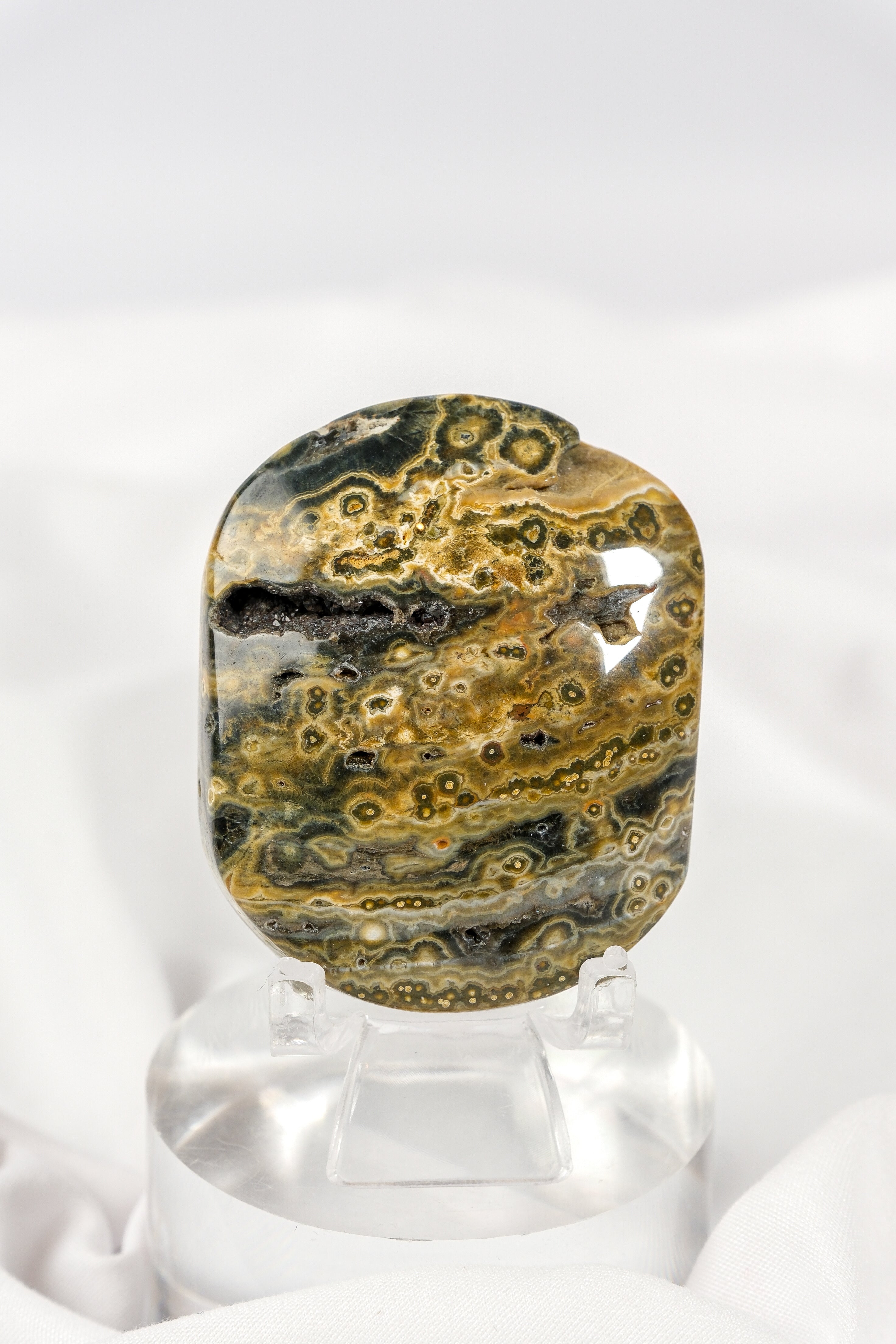 Orbicular Sea Jasper Palmstone