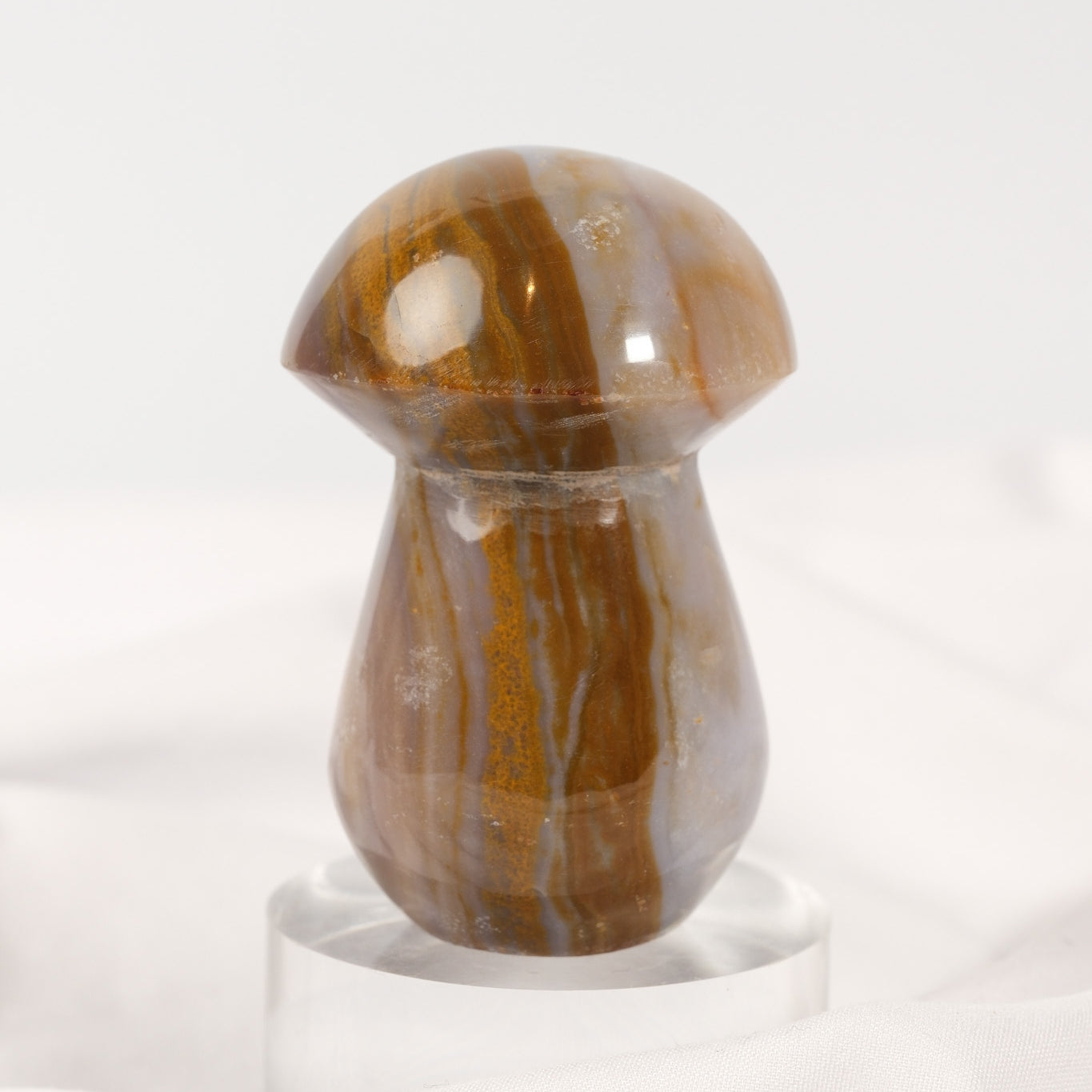 Polychrome Jasper Mushroom