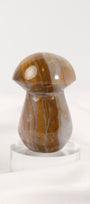 Polychrome Jasper Mushroom