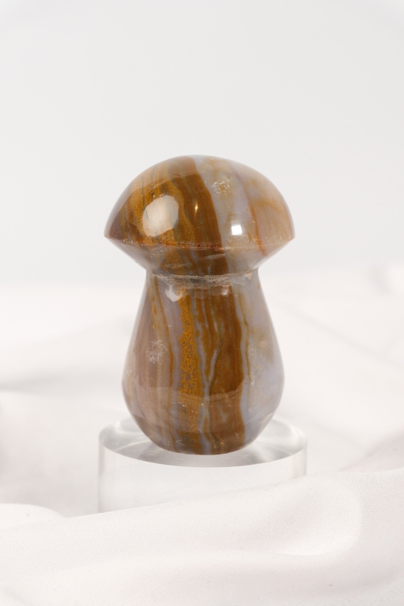 Polychrome Jasper Mushroom