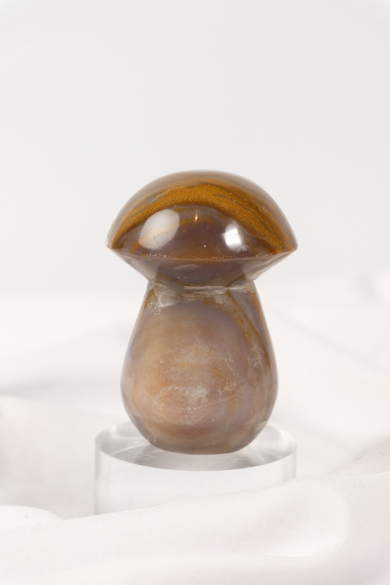 Polychrome Jasper Mushroom