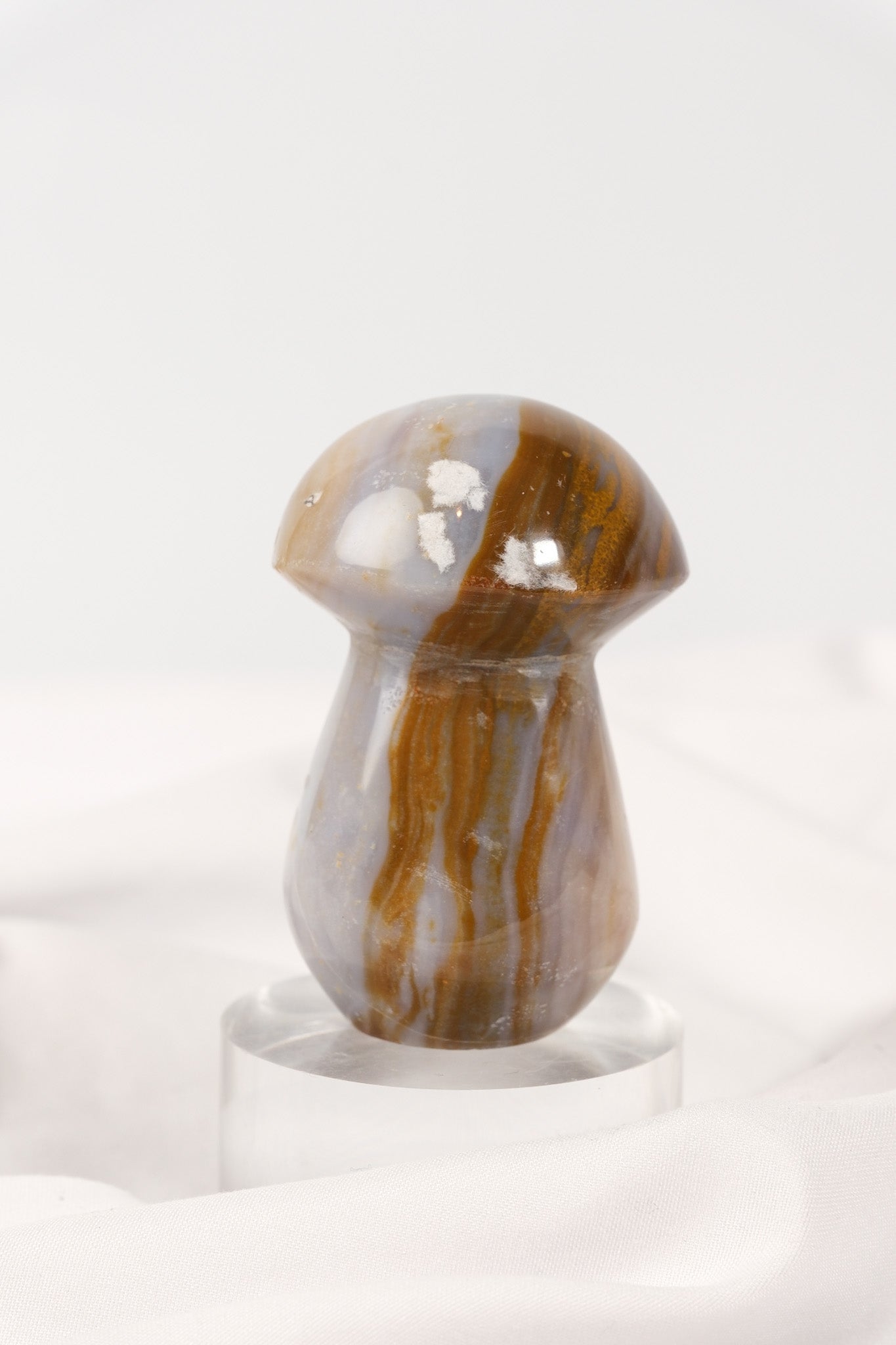 Polychrome Jasper Mushroom