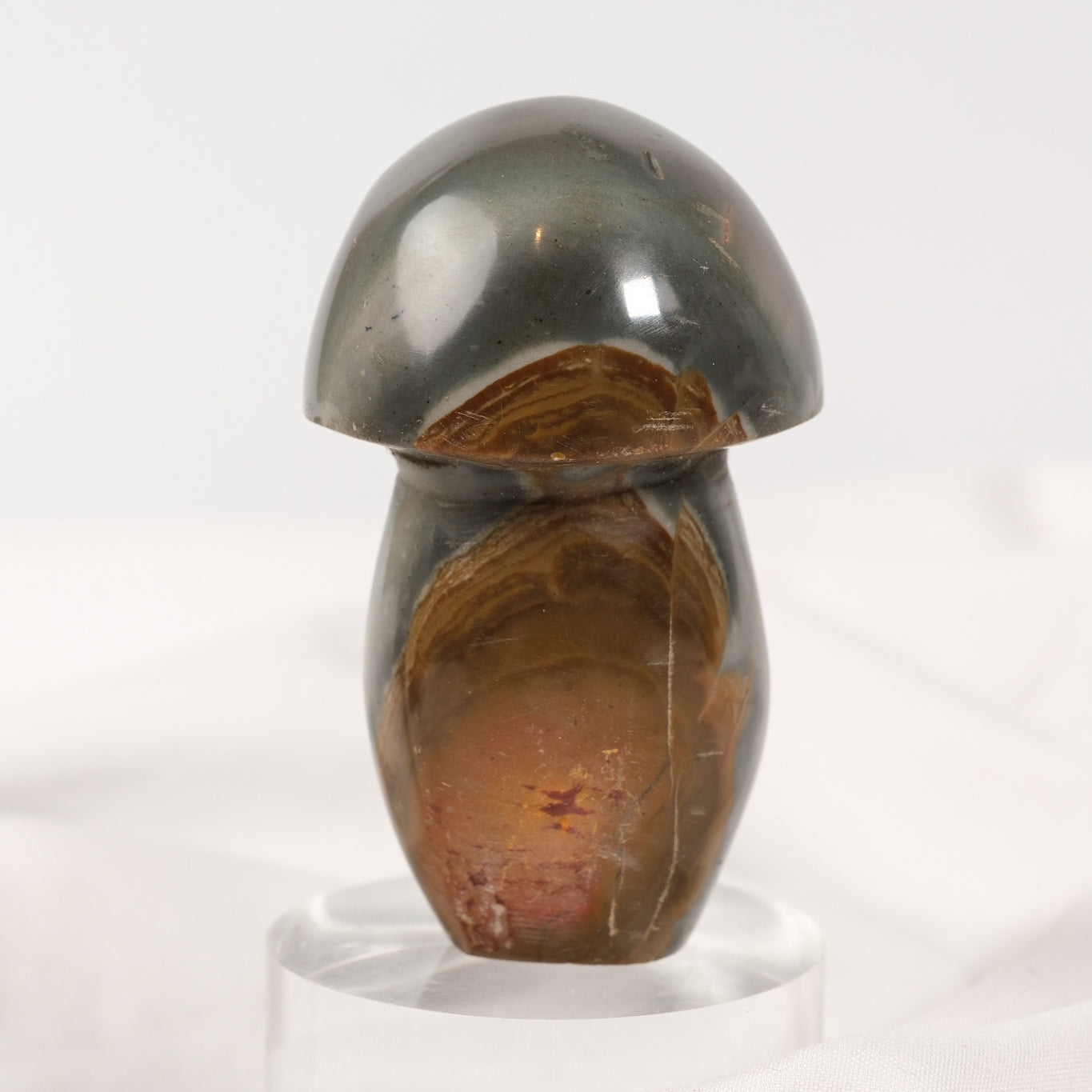 Polychrome Jasper Mushroom