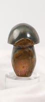 Polychrome Jasper Mushroom