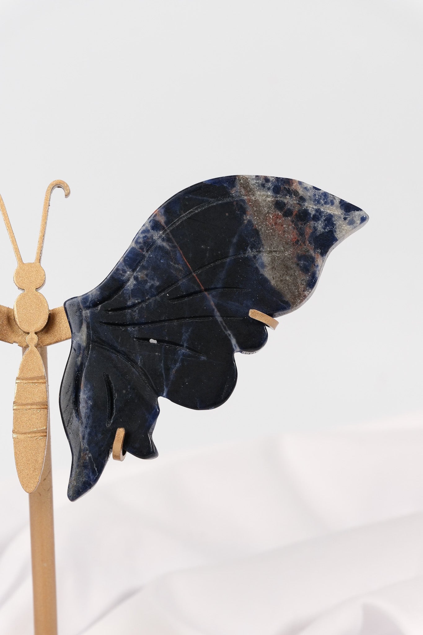 Sodalite Butterfly Wings on Gold Stand