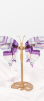Fluorite Butterfly Wings on Gold Stand
