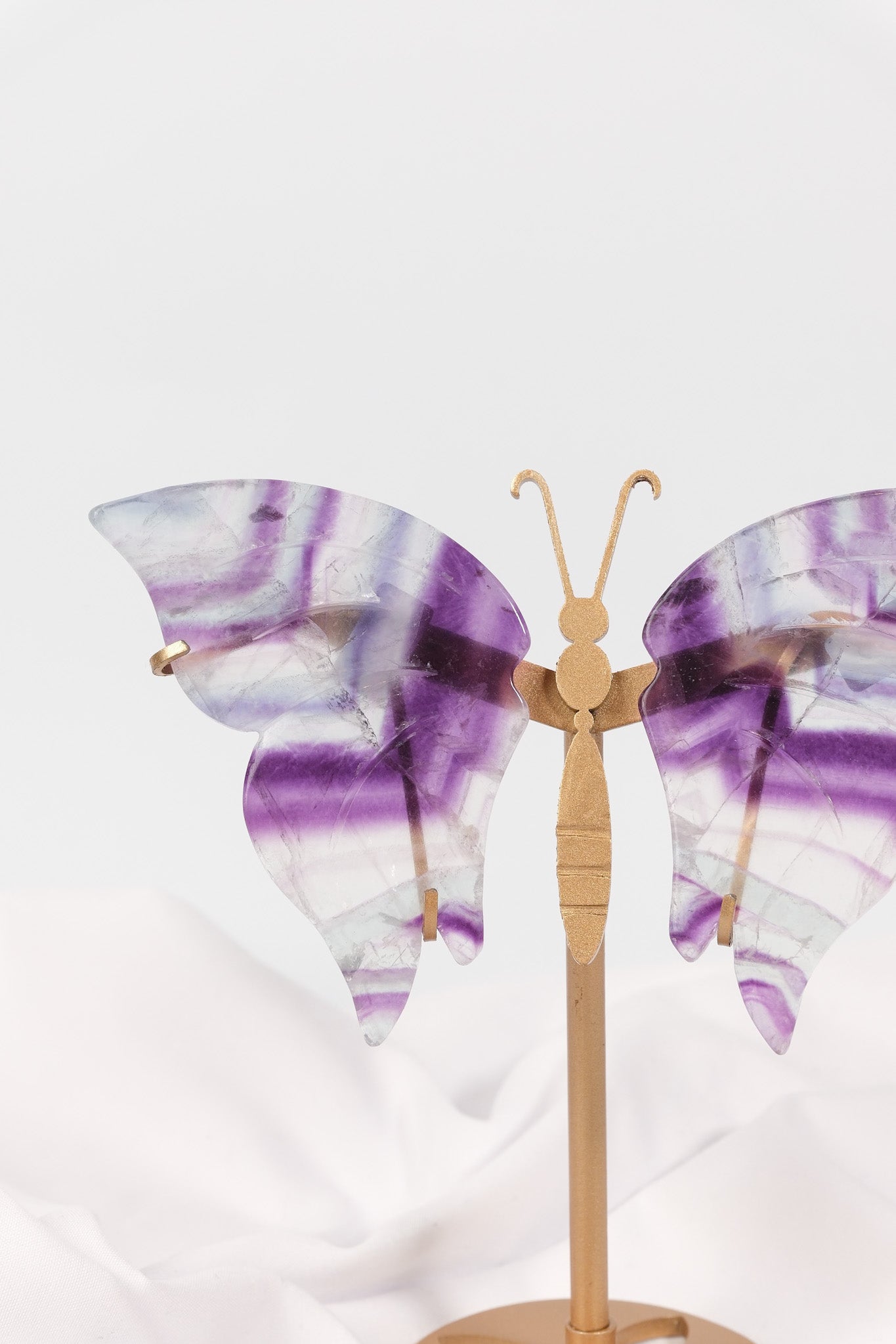 Fluorite Butterfly Wings on Gold Stand