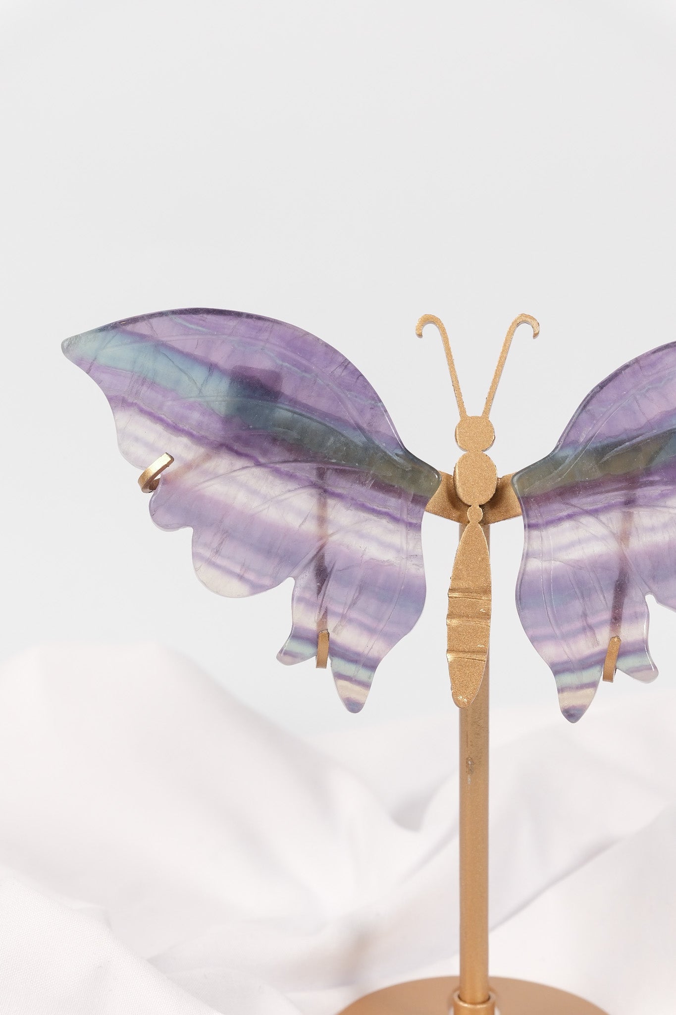 Fluorite Butterfly Wings on Gold Stand