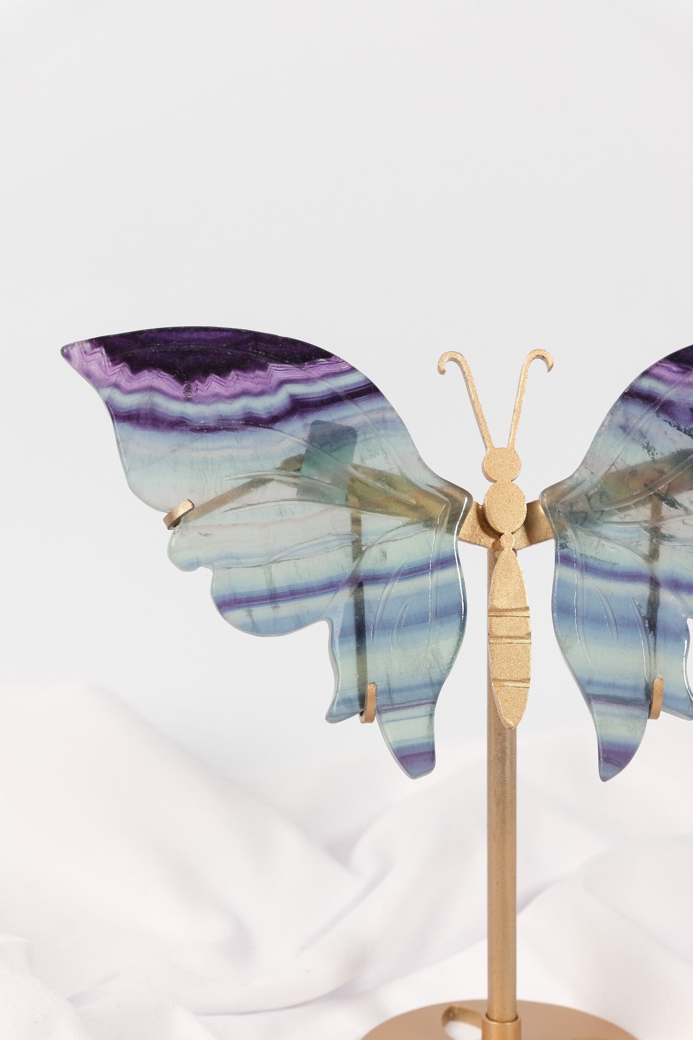 Fluorite Butterfly Wings on Gold Stand
