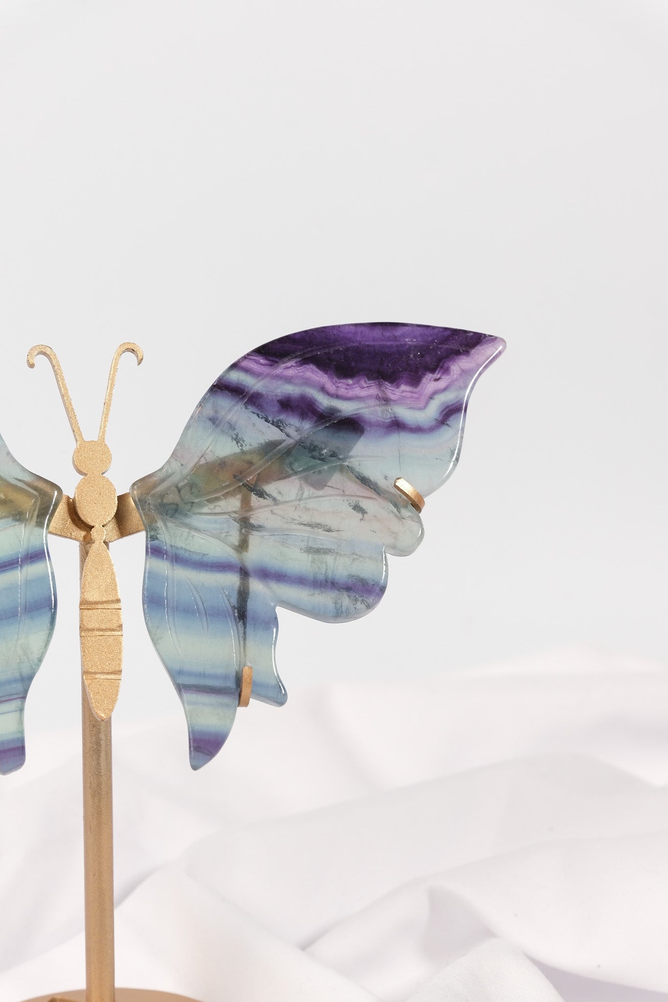 Fluorite Butterfly Wings on Gold Stand