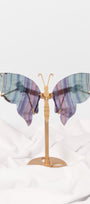 Fluorite Butterfly Wings on Gold Stand