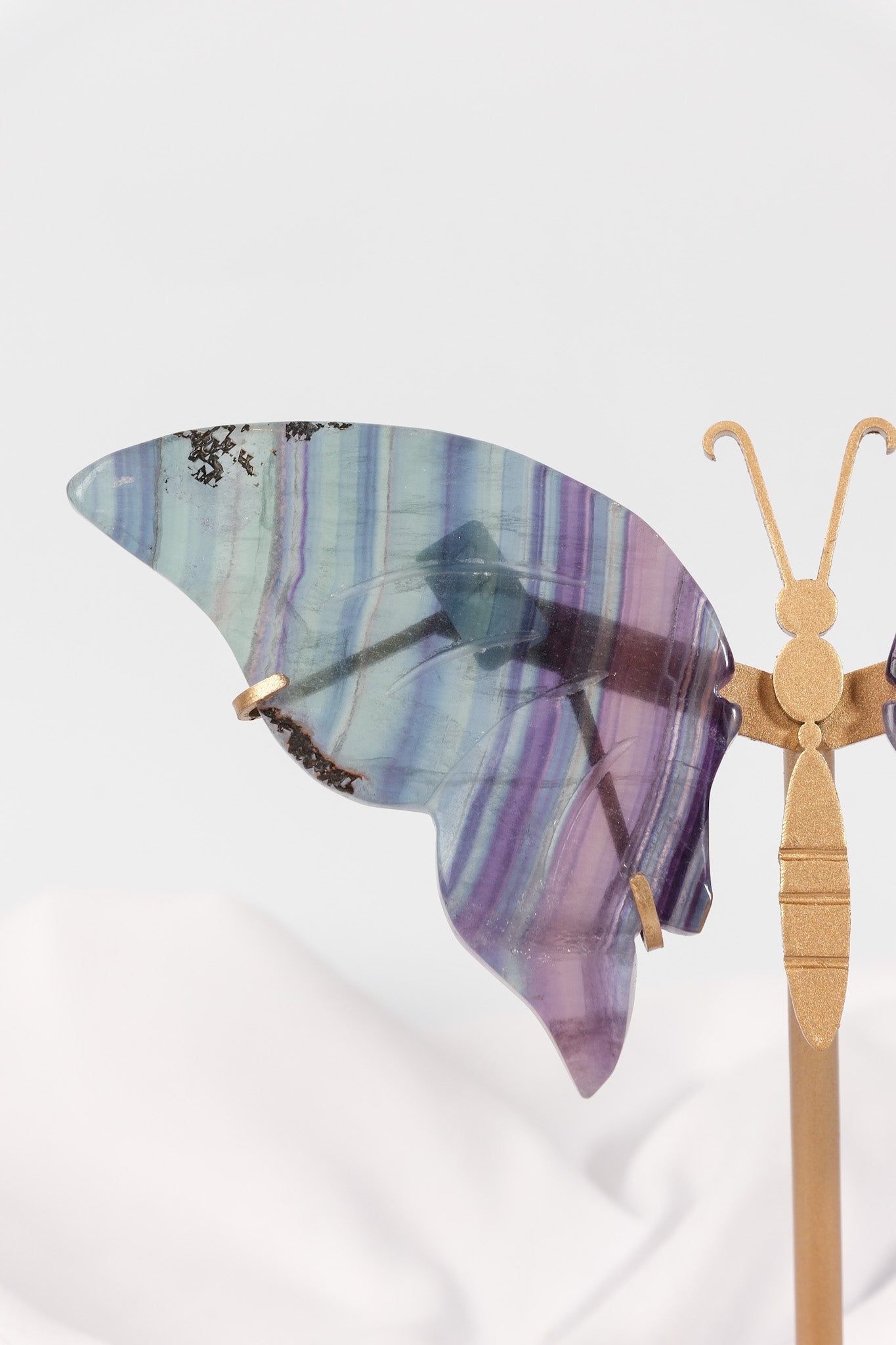 Fluorite Butterfly Wings on Gold Stand