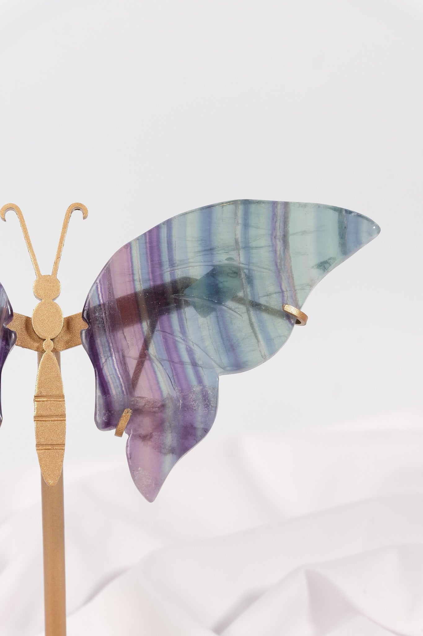 Fluorite Butterfly Wings on Gold Stand