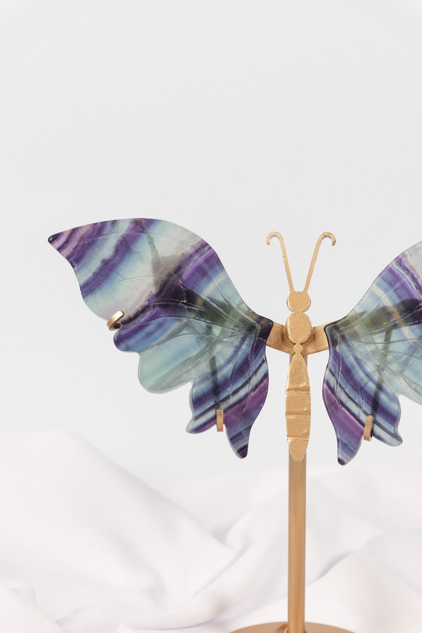 Fluorite Butterfly Wings on Gold Stand