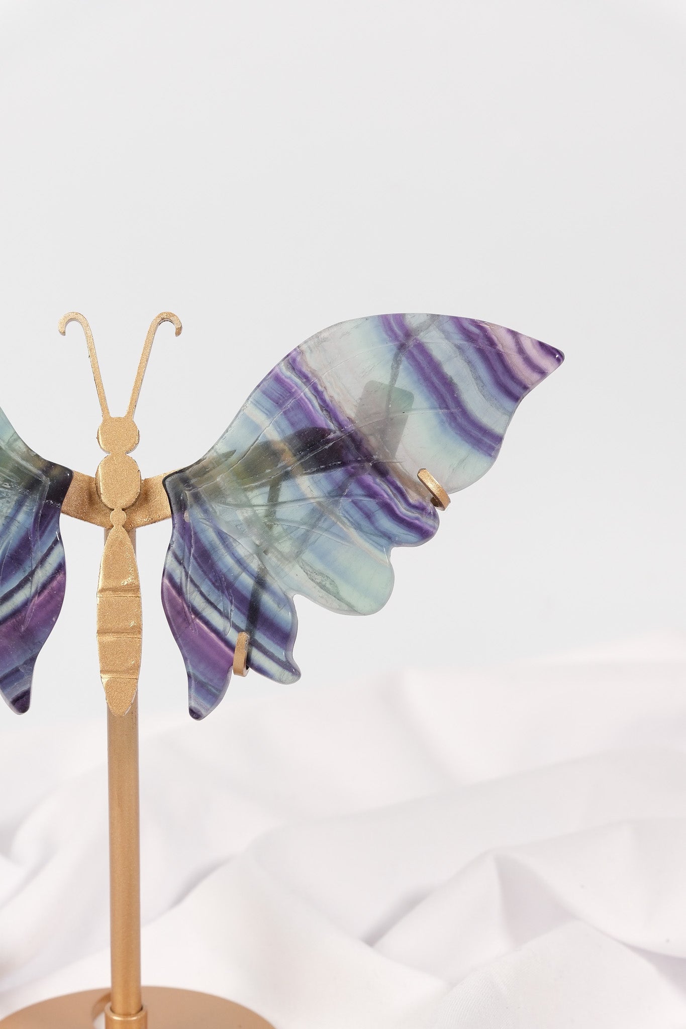 Fluorite Butterfly Wings on Gold Stand