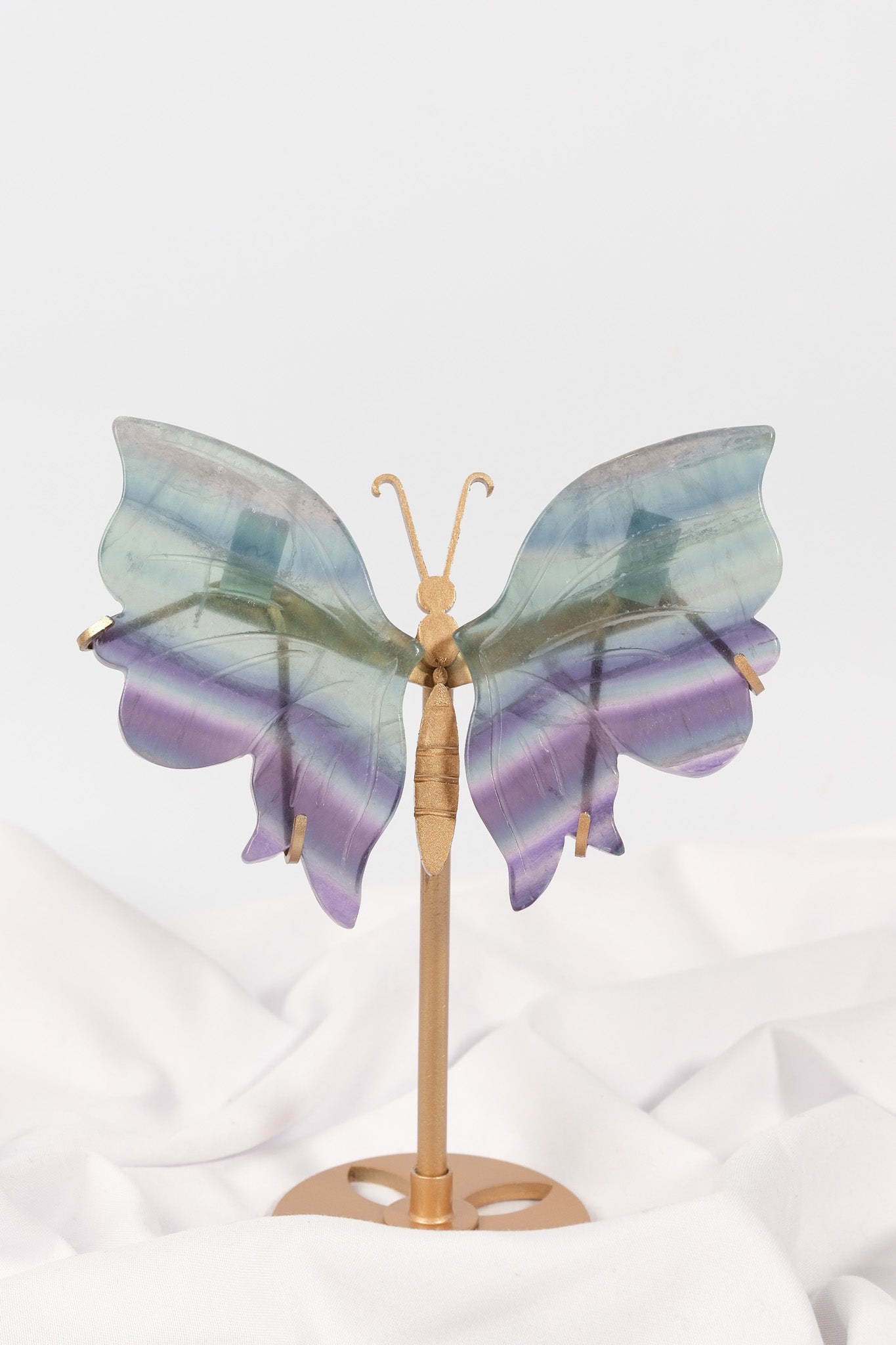 Fluorite Butterfly Wings on Gold Stand