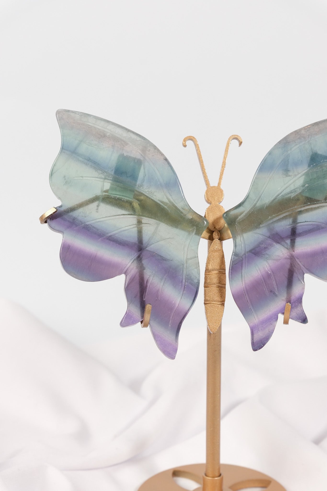 Fluorite Butterfly Wings on Gold Stand