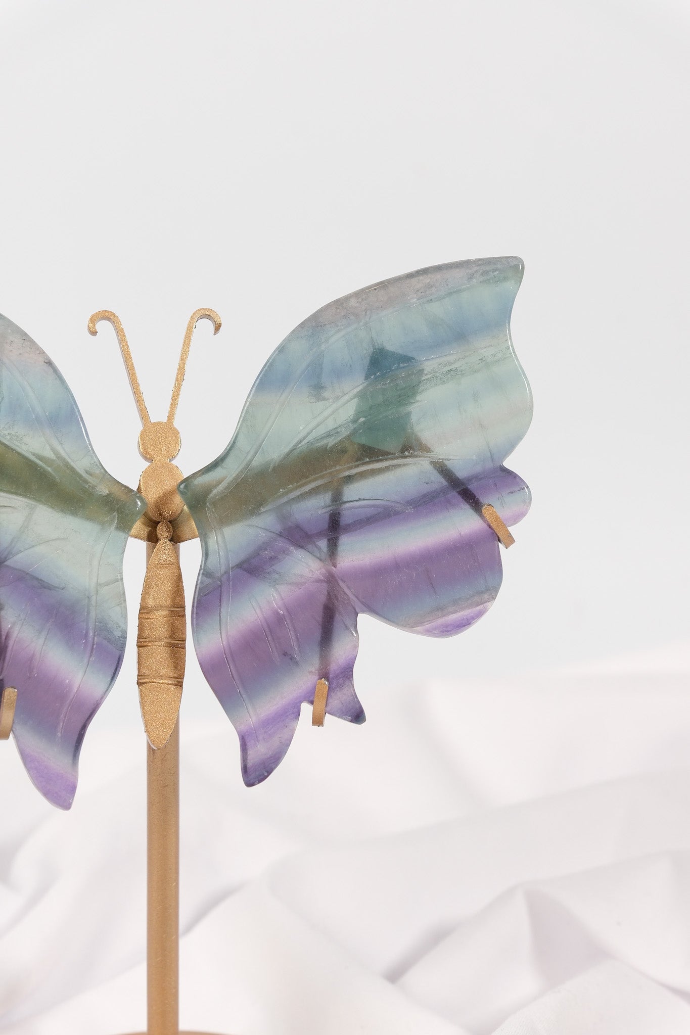Fluorite Butterfly Wings on Gold Stand