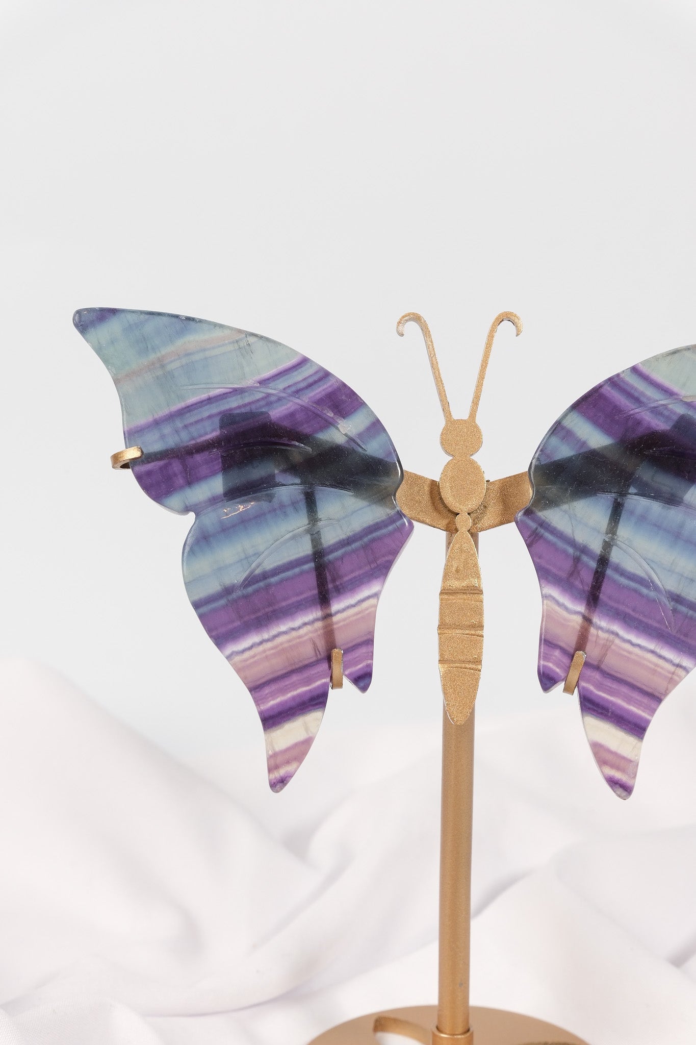 Fluorite Butterfly Wings on Gold Stand