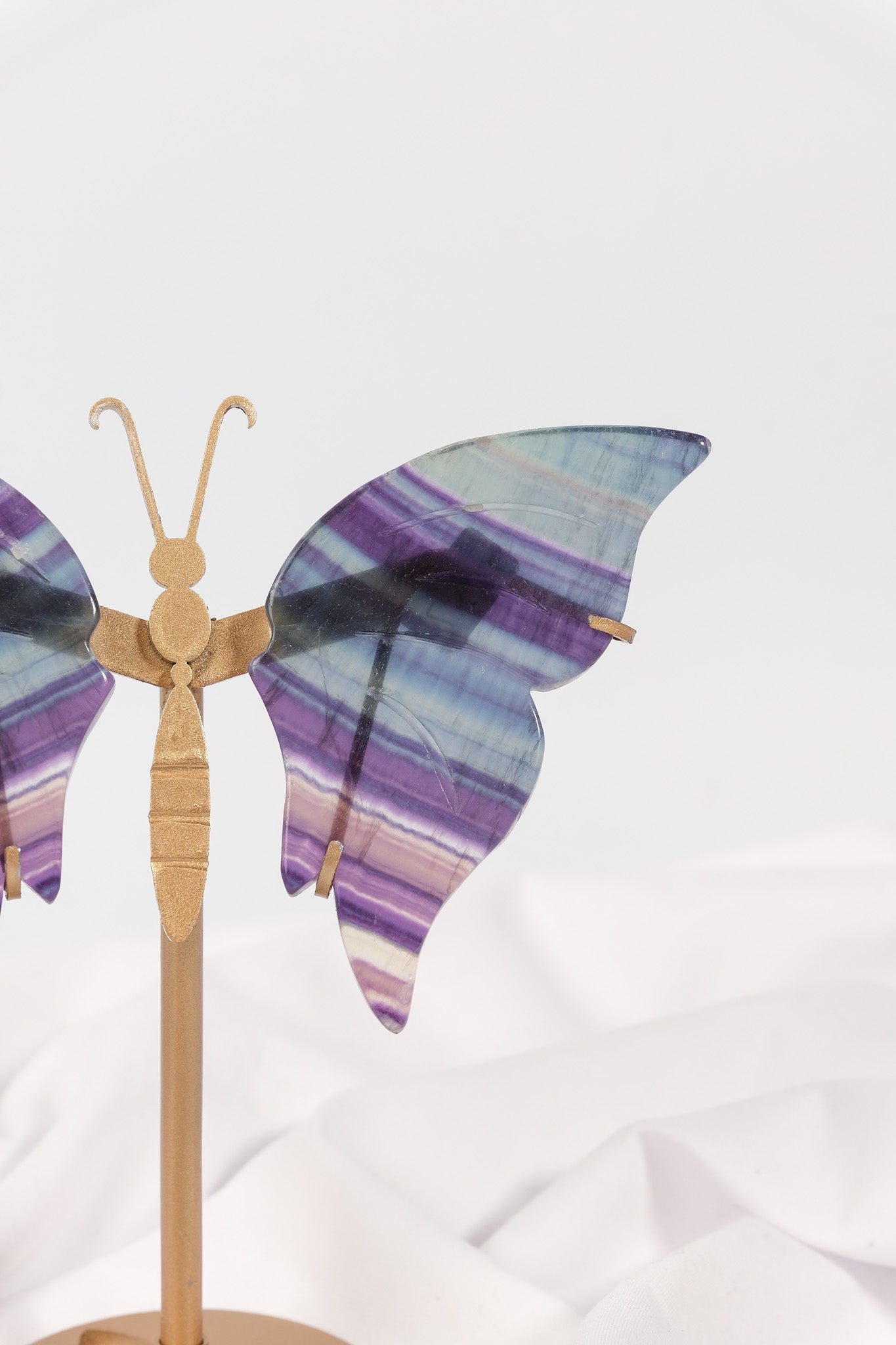 Fluorite Butterfly Wings on Gold Stand