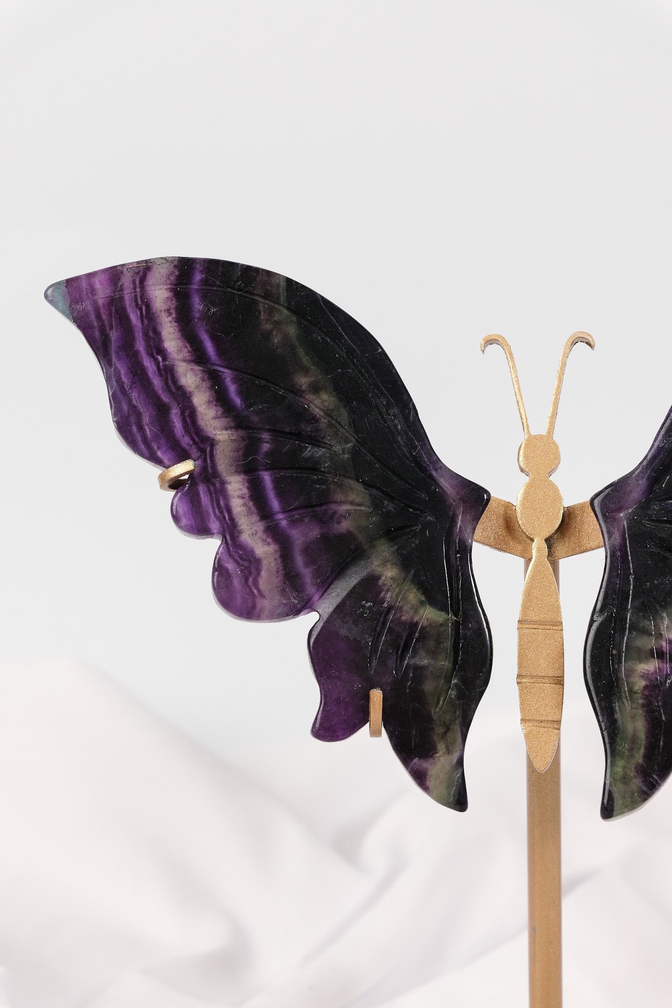 Fluorite Butterfly Wings on Gold Stand