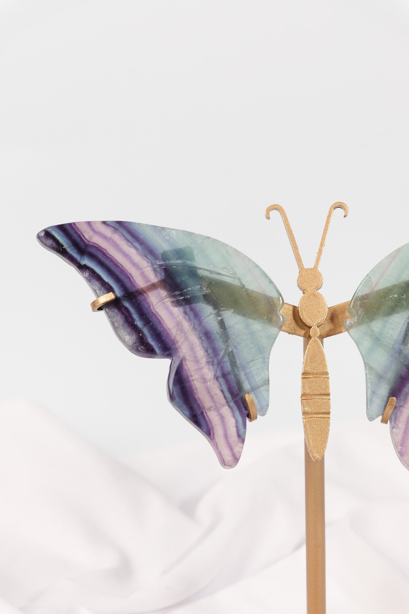 Fluorite Butterfly Wings on Gold Stand
