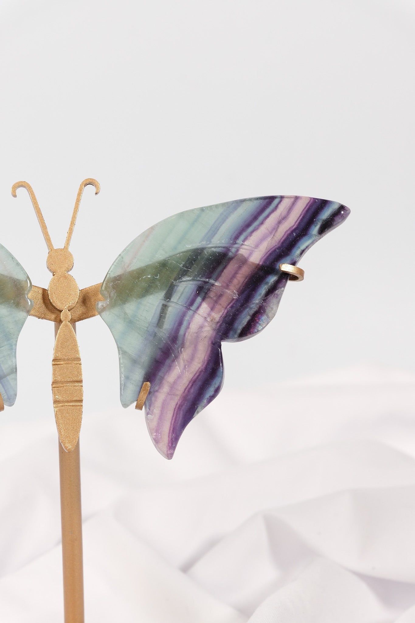 Fluorite Butterfly Wings on Gold Stand