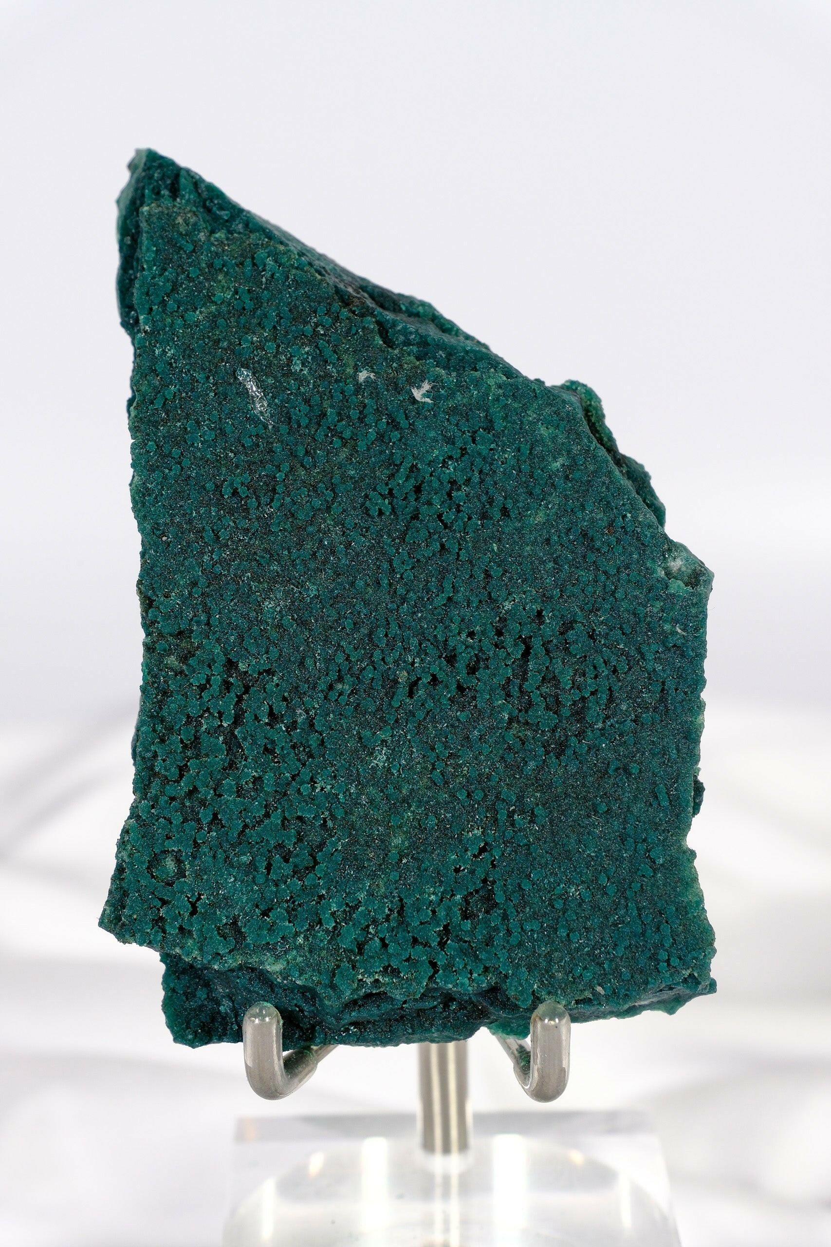 Botryoidal Green Chalcedony with Celadonite and Apophyllite Slice Healing Crystal.