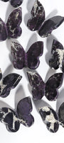 Purpurite Butterfly