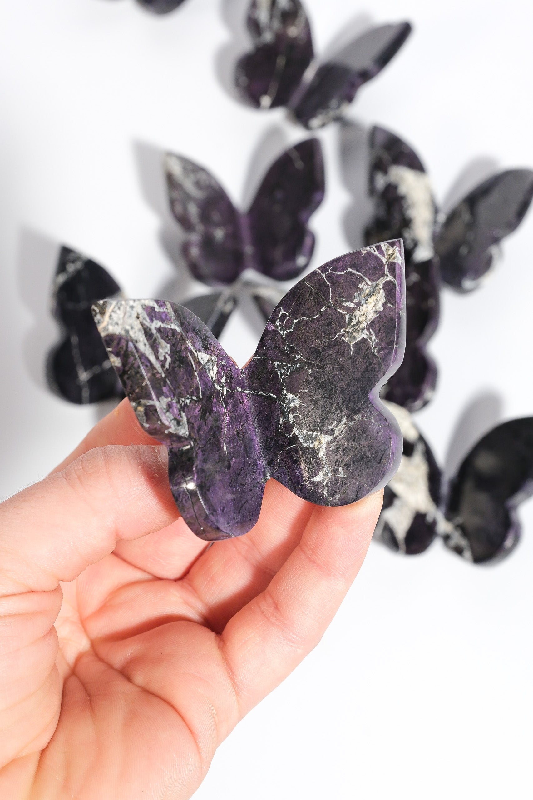 Purpurite Butterfly