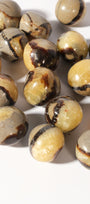 Septarian Jumbo Tumble