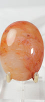 Carnelian Agate Palmstone