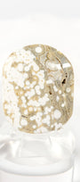 Orbicular Sea Jasper Palmstone