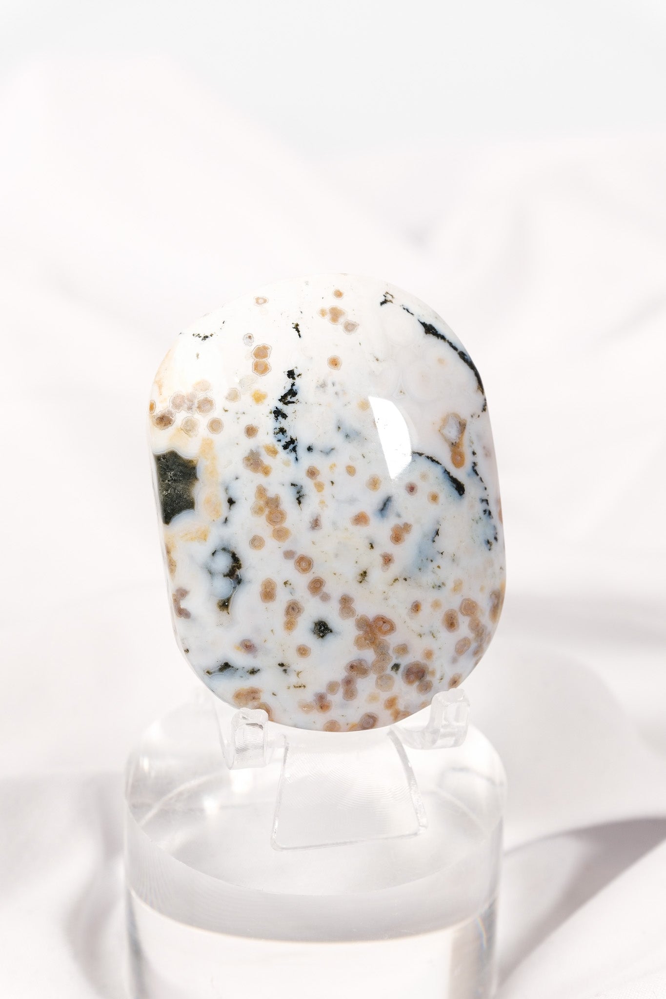 Orbicular Sea Jasper Palmstone