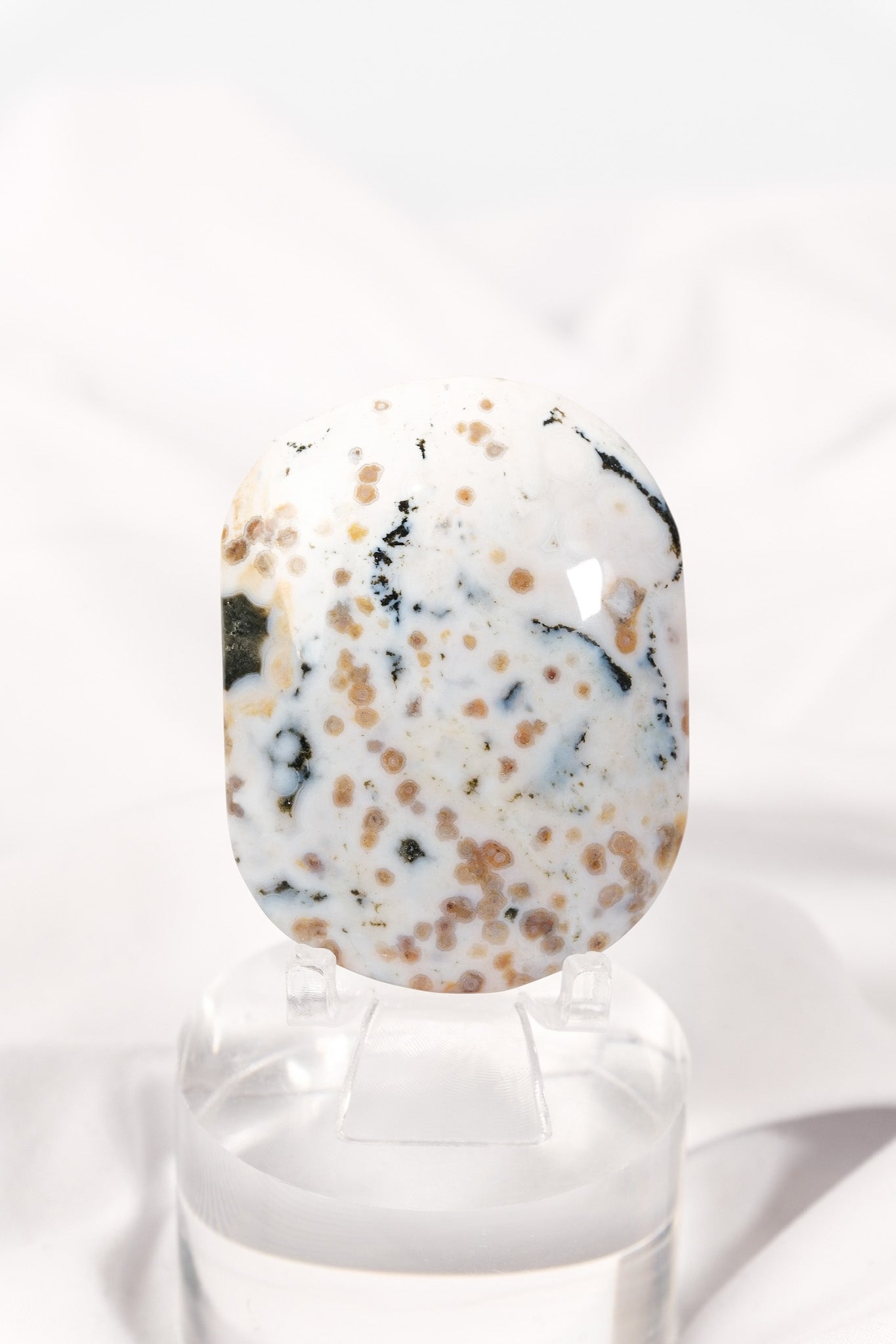 Orbicular Sea Jasper Palmstone